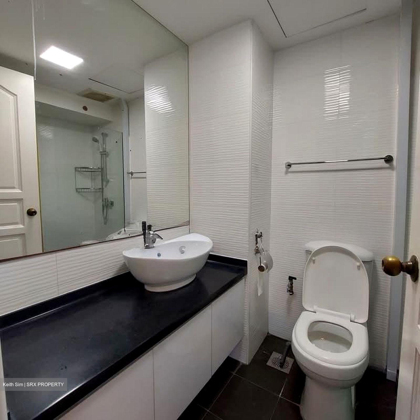 Shelford Regency (D11), Condominium #535836541